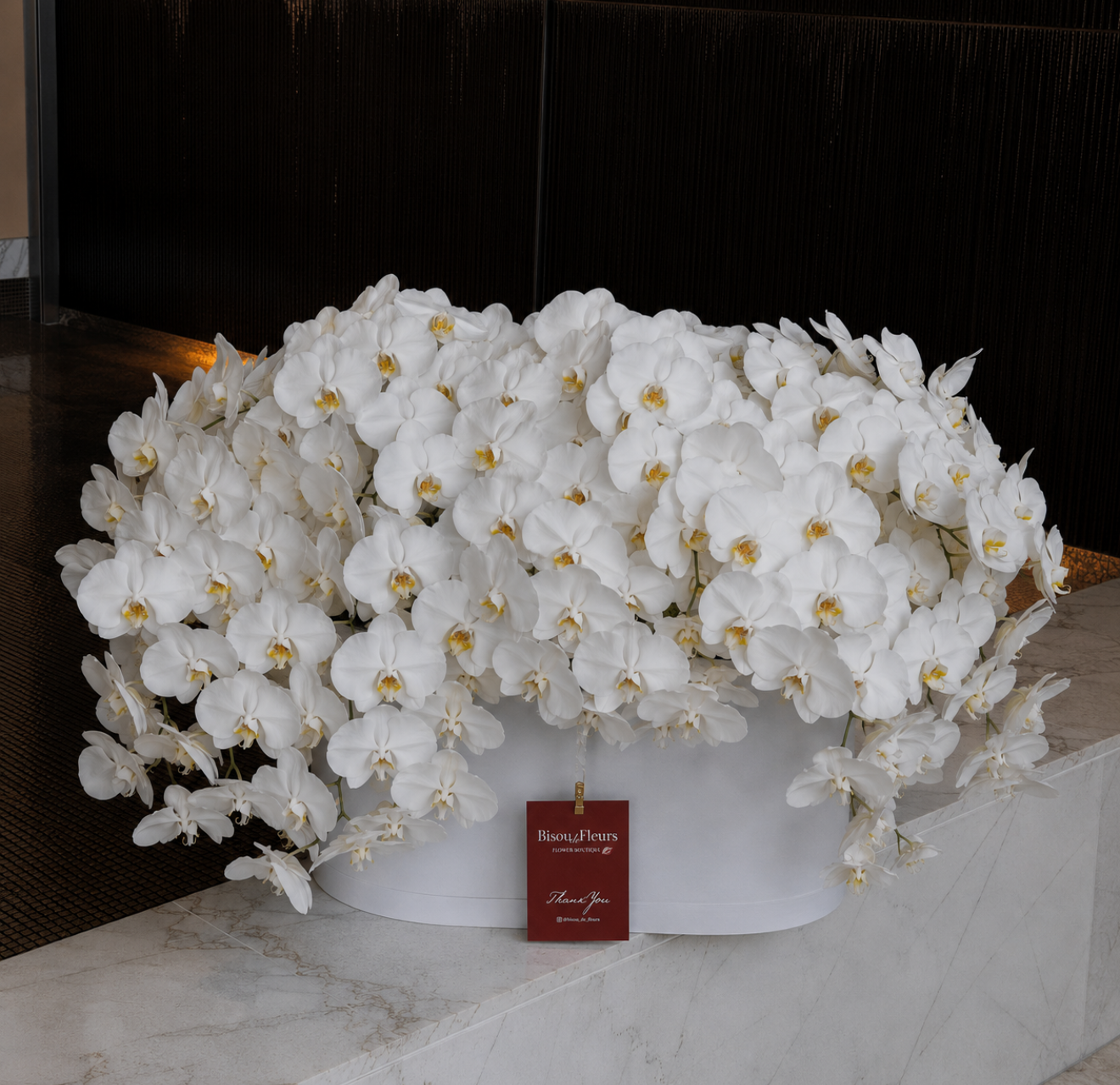 The Orchid Royale