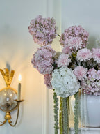 Aristocrat Bloom