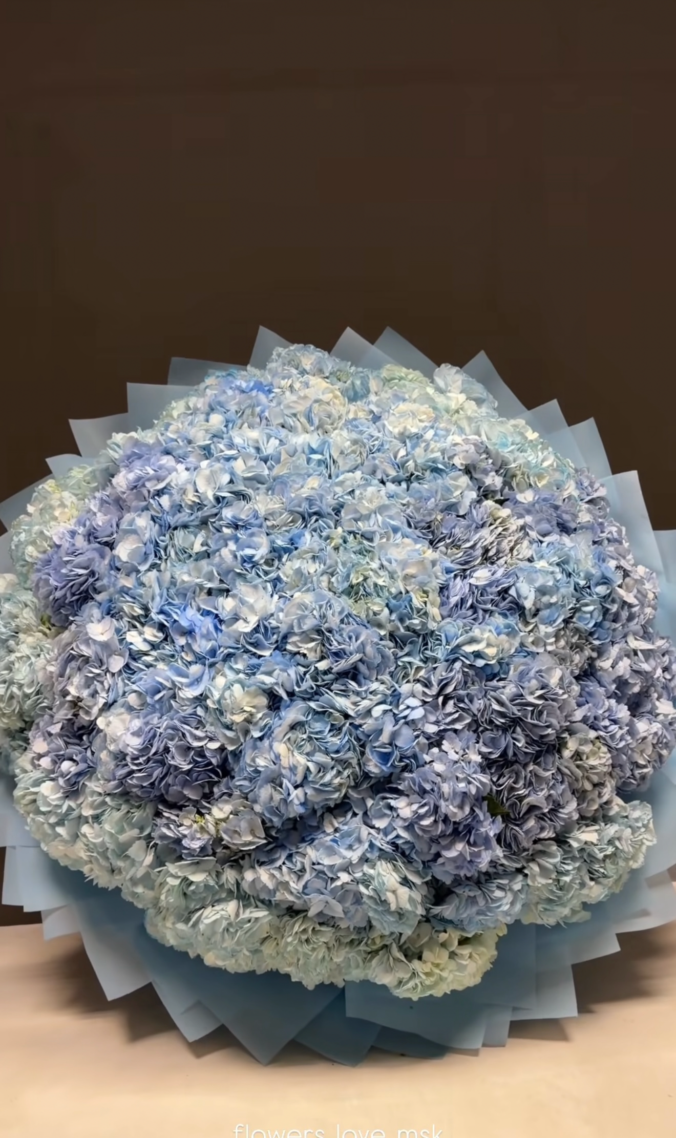 101 Blue Hydrengea