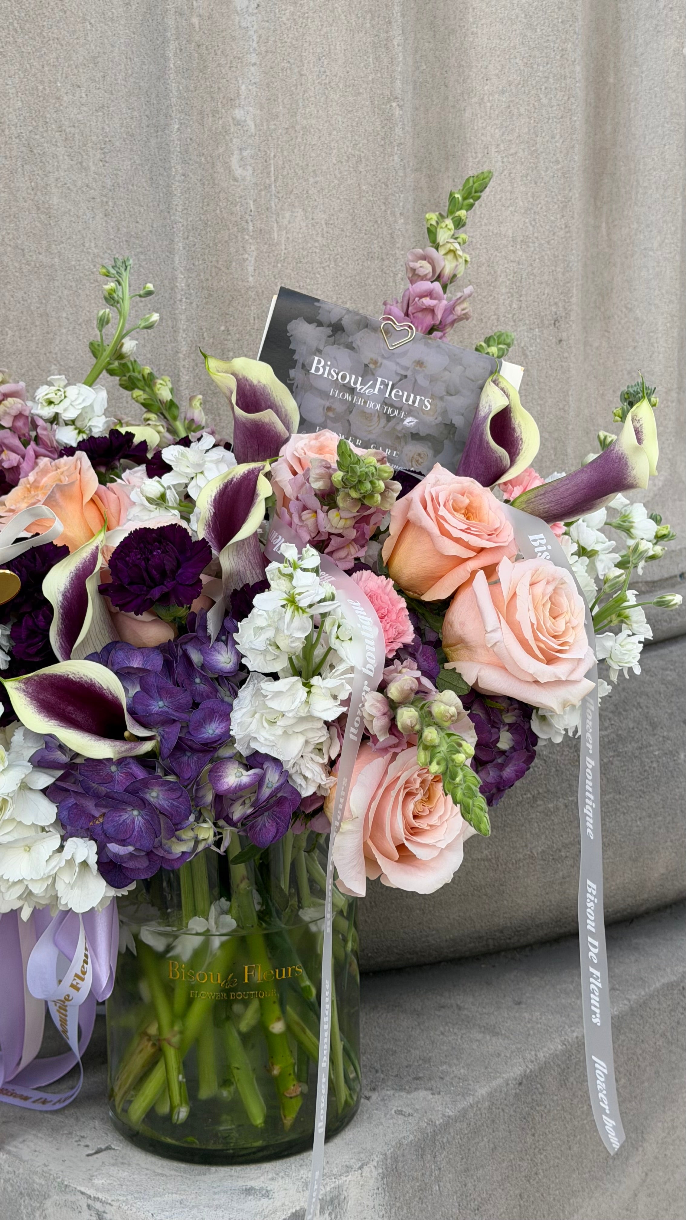 Provence Morning