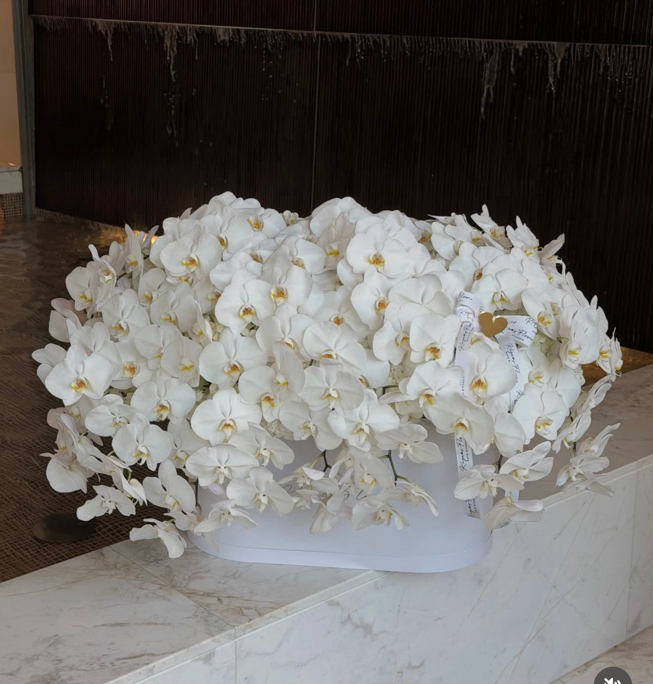 The Orchid Royale (100 Orchids)