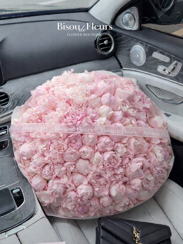 101 Peonies Valentines Edition