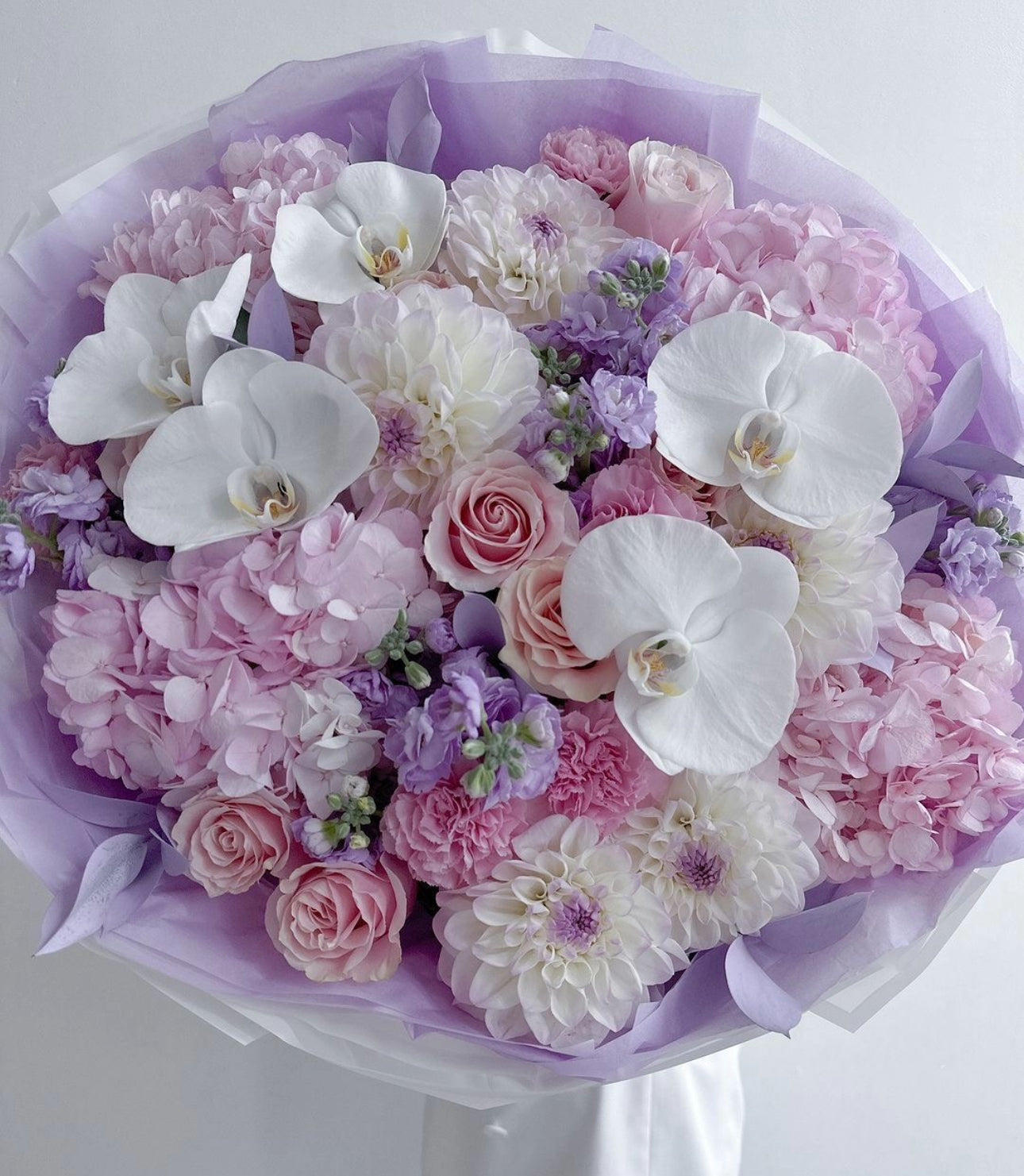 Orchid Meadow