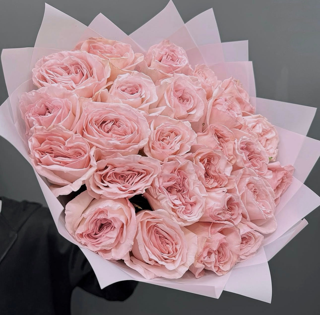 Dream in Pink