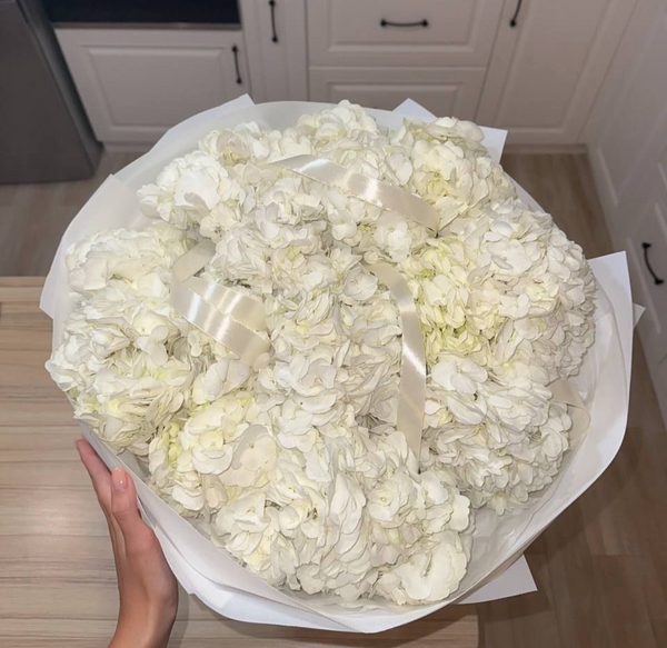White Hydrangea