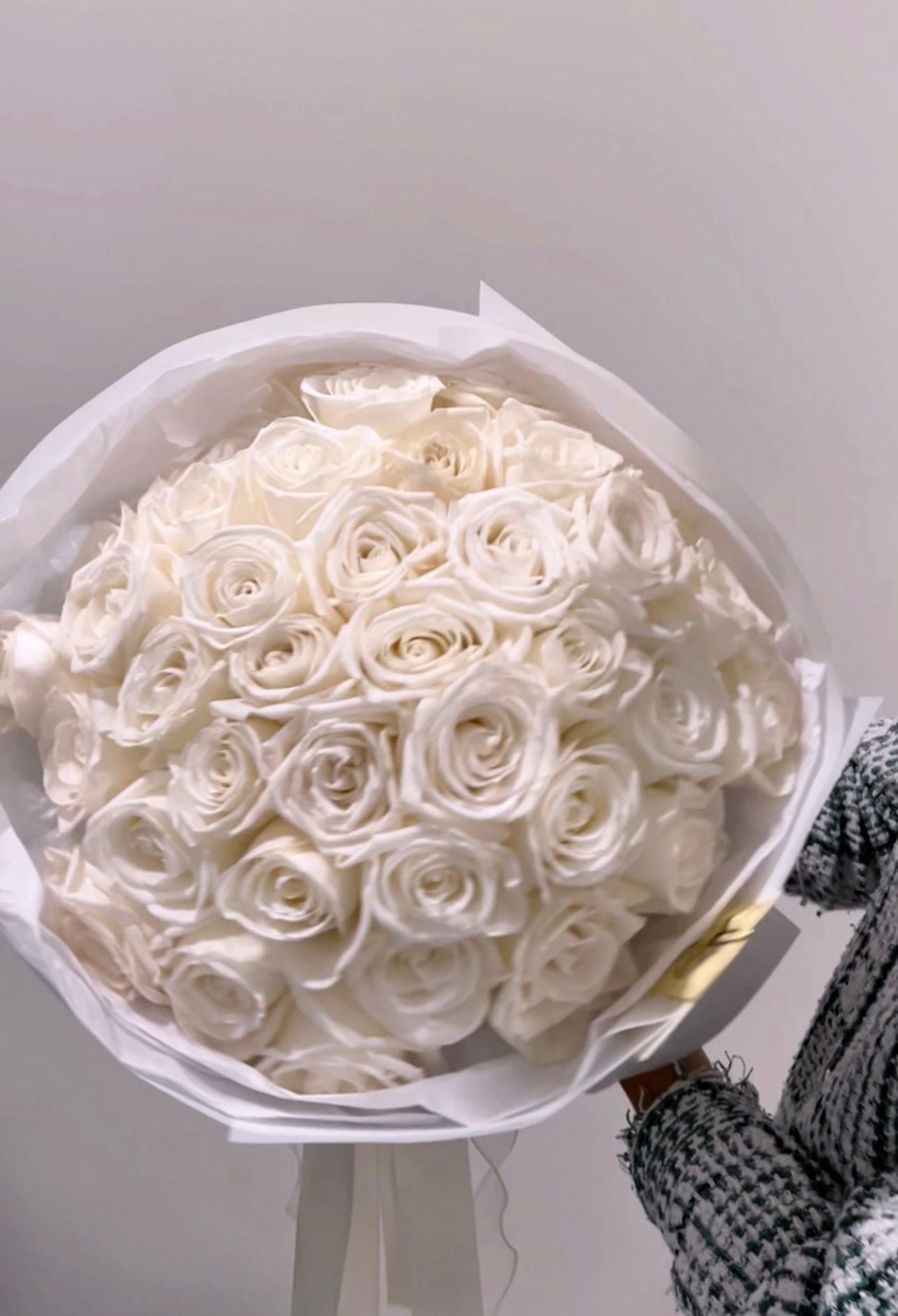 Сlassic White Roses