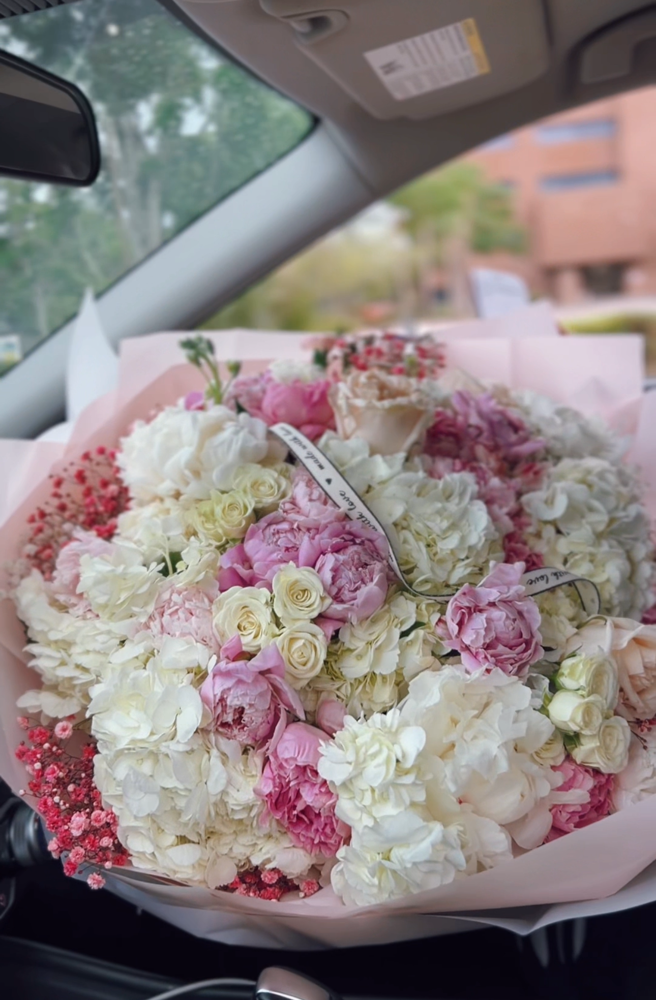 Tender Bloom