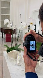 Orchid with succulent in vase