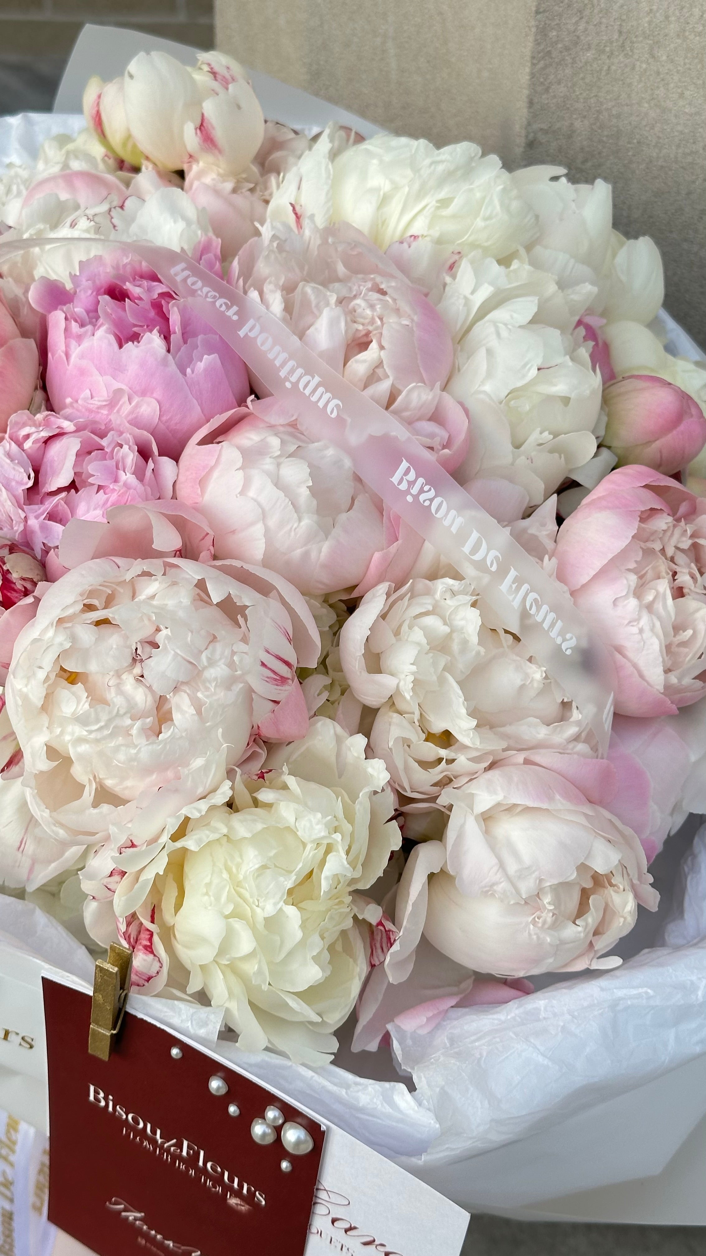 Peonies Pink & White
