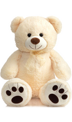 Plush Teddy Bear