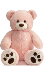 Plush Teddy Bear