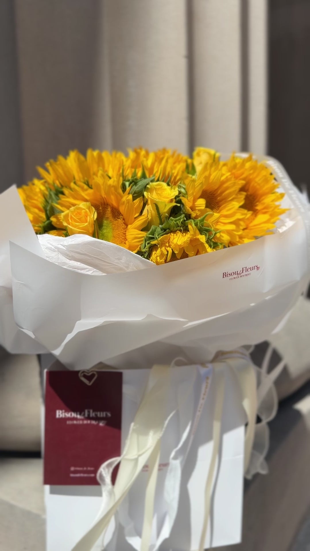Bisou du Soleil