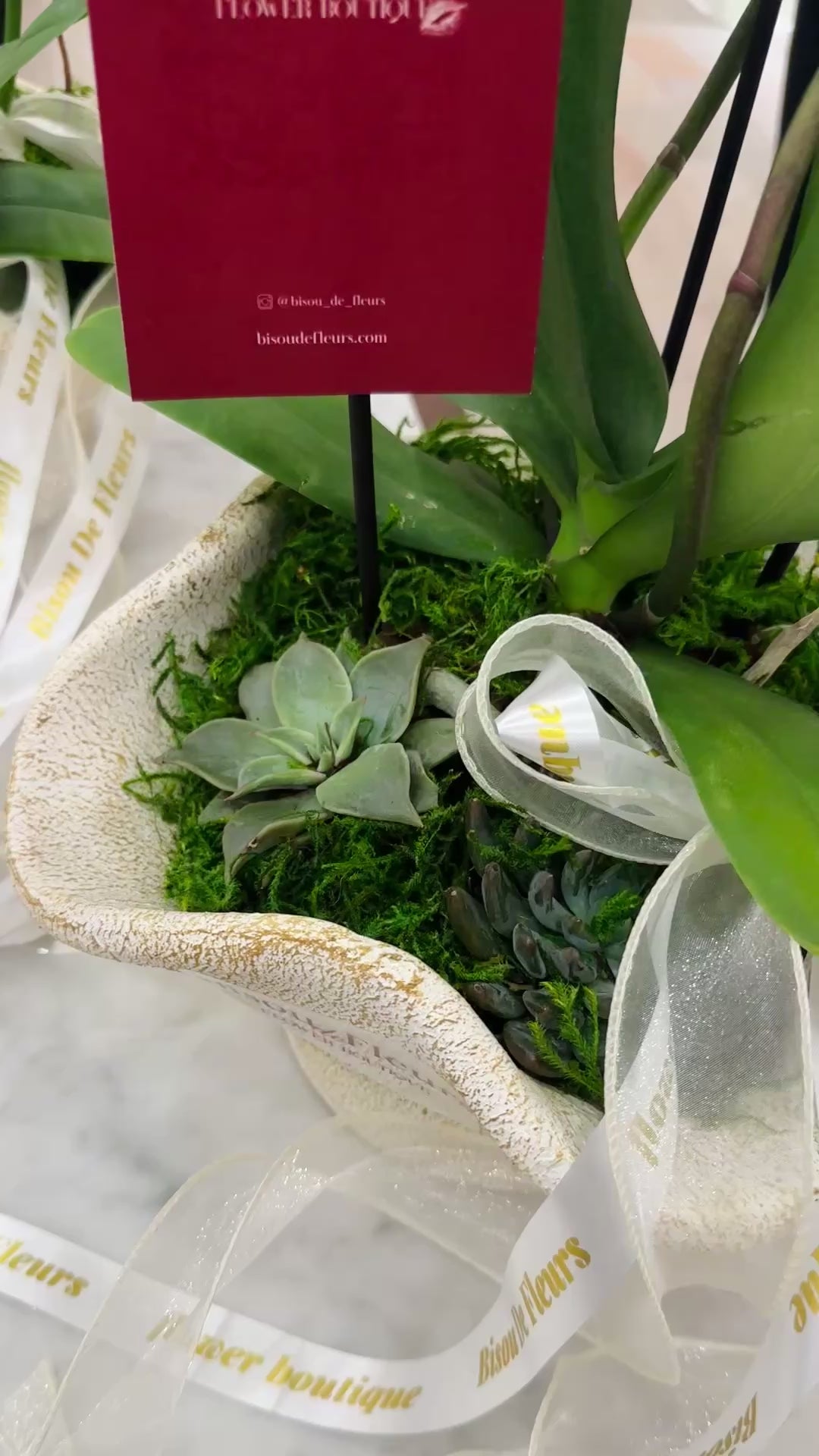 Orchid with succulent in vase